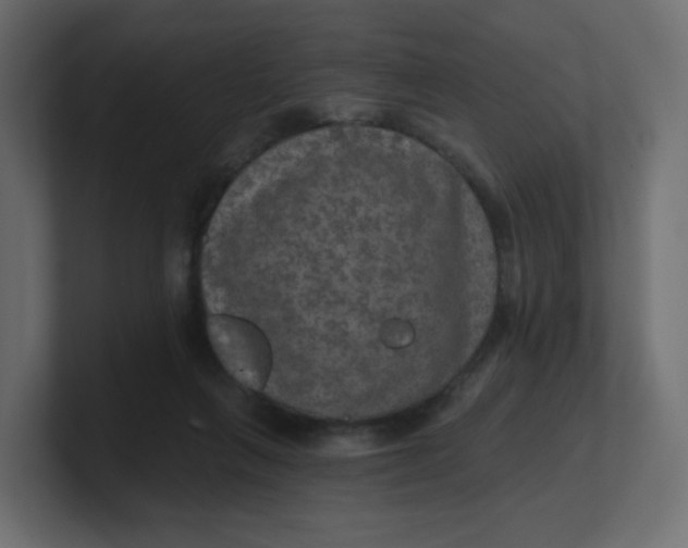 X0000100370263200806271450