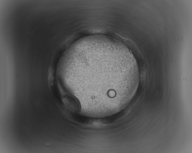 X0000100370264200806271450