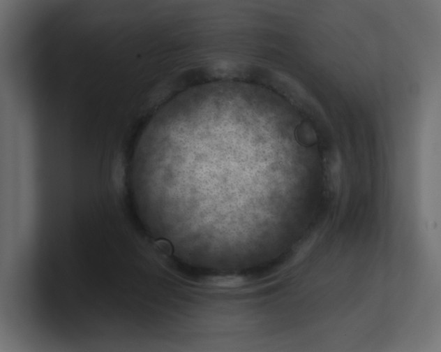 X0000100370266200806271450