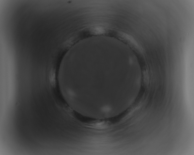 X0000100370267200806271450