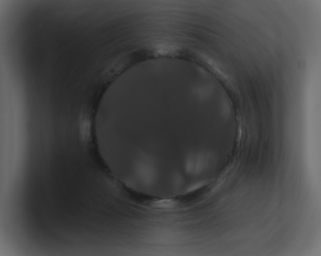 X0000100370269200806271450