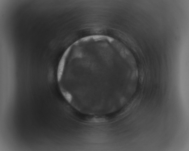 X0000100370270200806271450