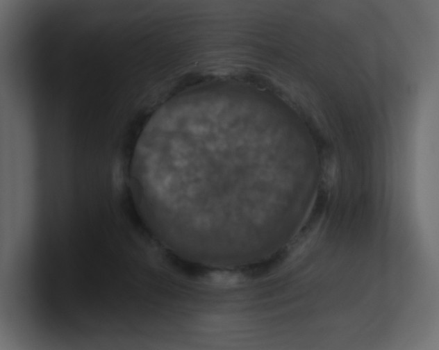 X0000100370272200806271450