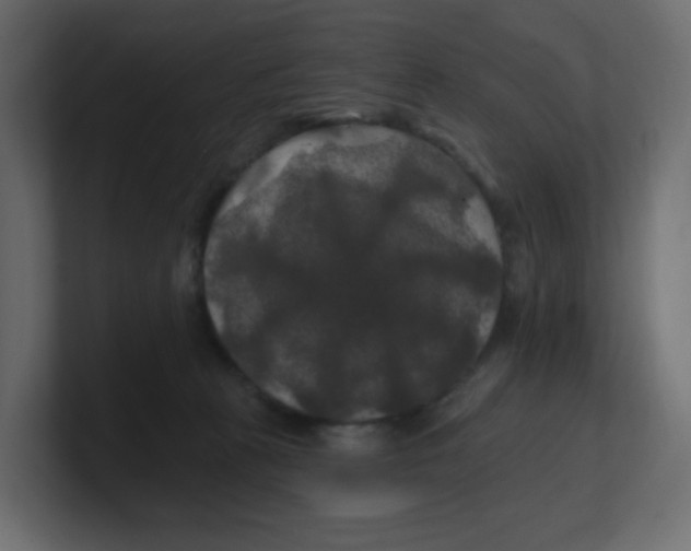 X0000100370273200806271450