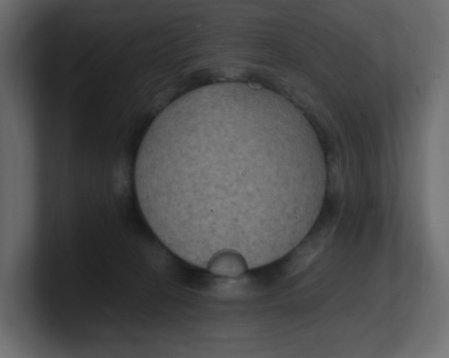 X0000100370274200806271450