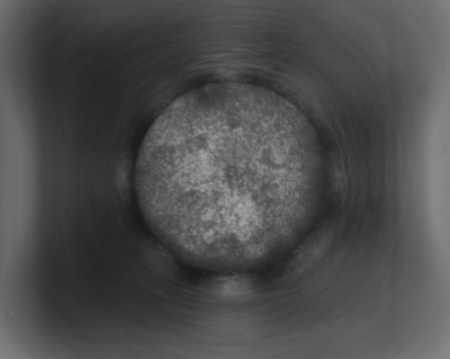 X0000100370275200806271450