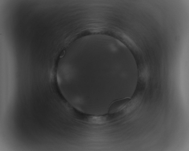 X0000100370277200806271450