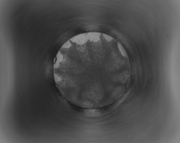 X0000100370281200806271450