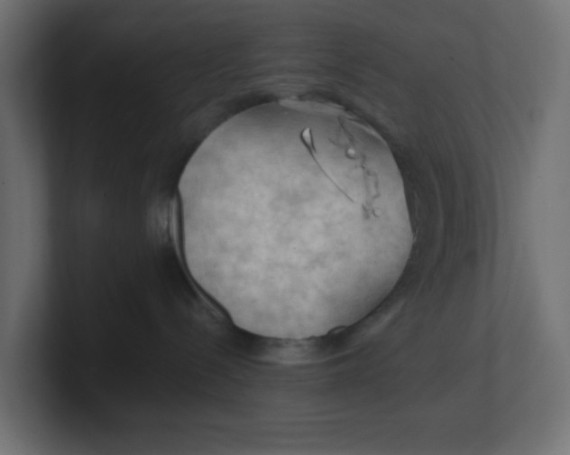 X0000100370288200806271450