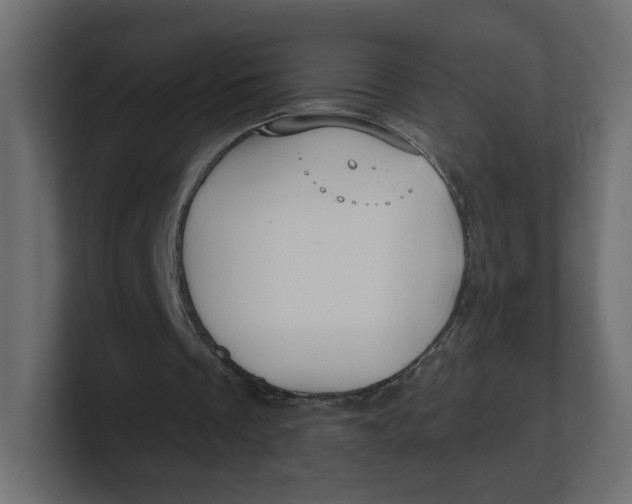 X0000100370289200806271450