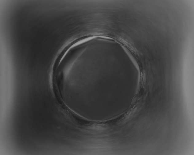 X0000100370292200806271450