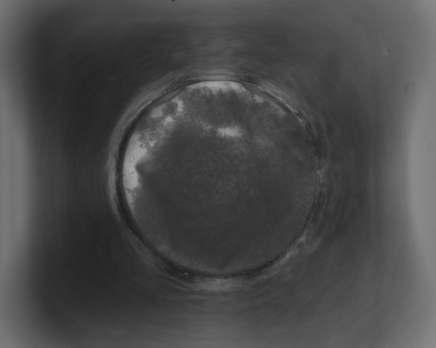 X0000100370293200806271450