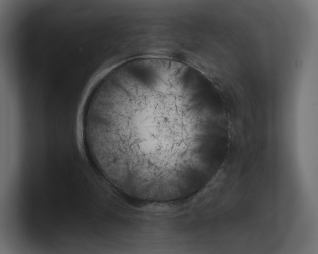 X0000100370294200806271450