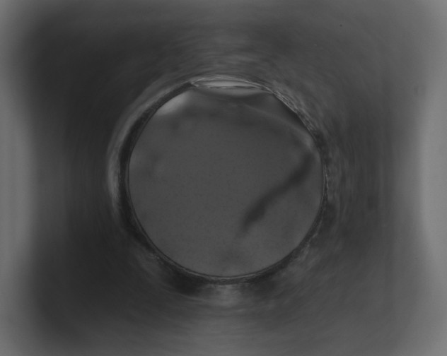 X0000100370295200806271450