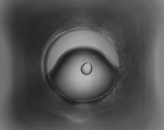 X0000100370296200806271450