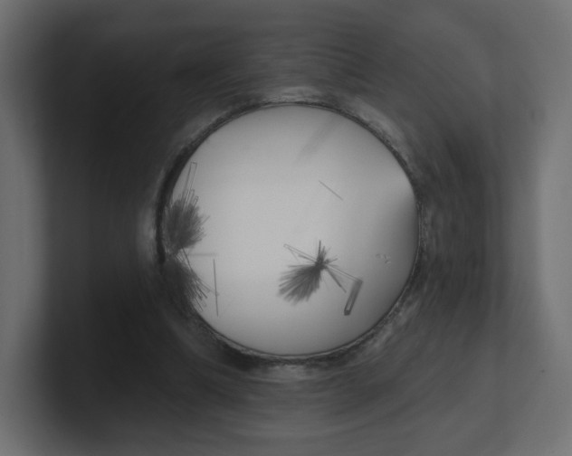 X0000100370298200806271449