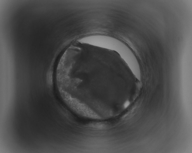 X0000100370299200806271449