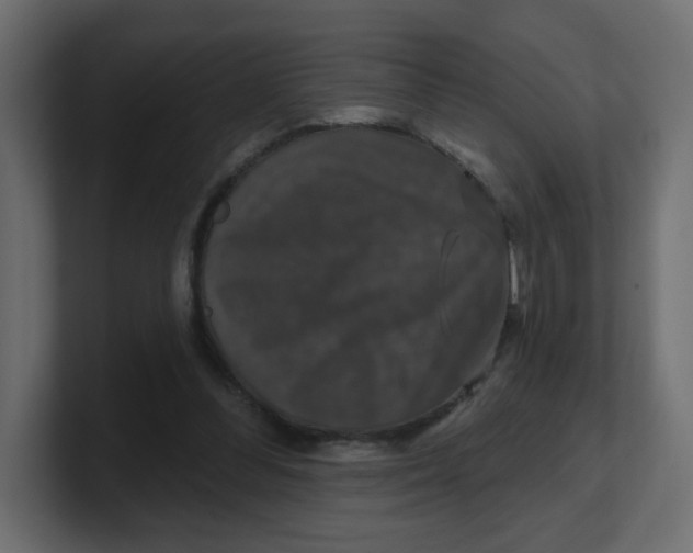 X0000100370300200806271449