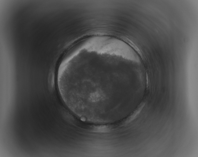 X0000100370301200806271449