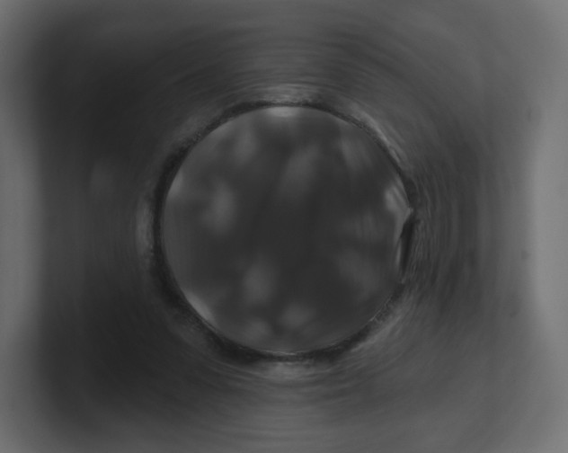 X0000100370303200806271449