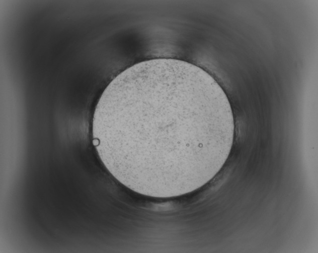 X0000100370309200806271449