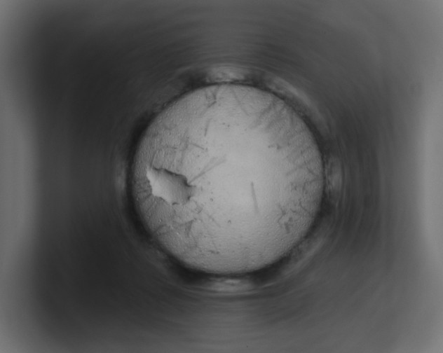 X0000100370315200806271449