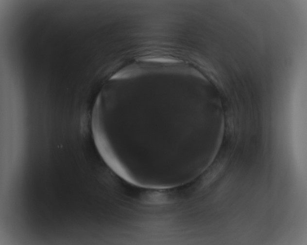 X0000100370325200806271449