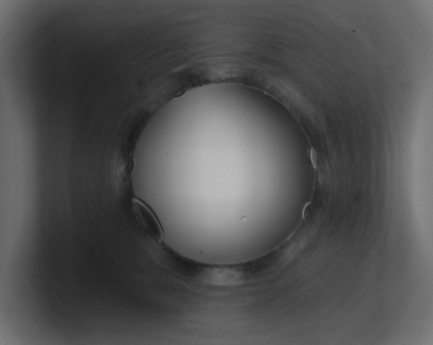 X0000100370327200806271449