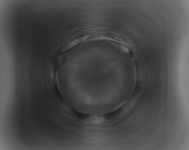 X0000100370328200806271449