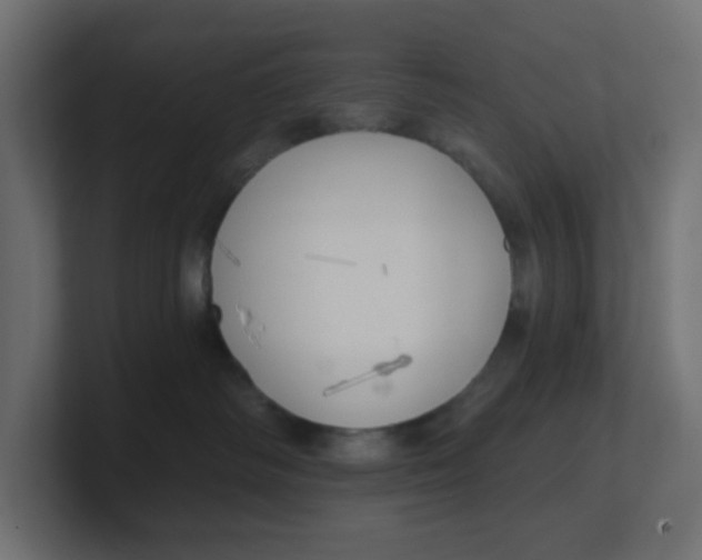 X0000100370334200806271449