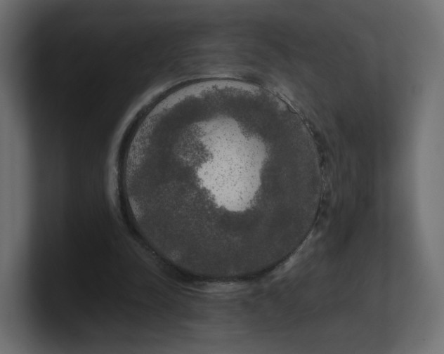 X0000100370342200806271448