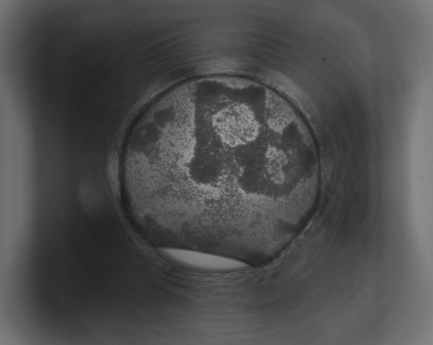 X0000100370345200806271448