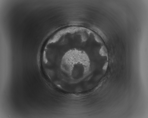 X0000100370346200806271448