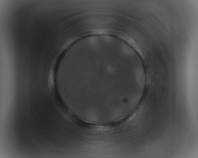 X0000100370347200806271448