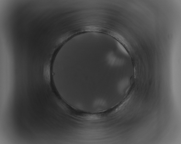 X0000100370349200806271449