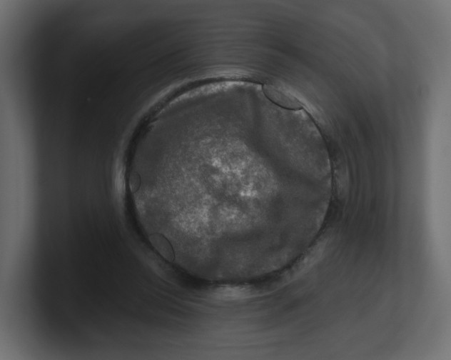 X0000100370350200806271449