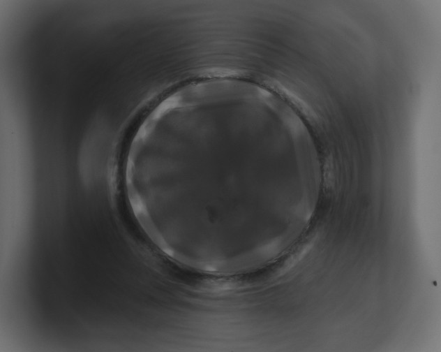 X0000100370351200806271449