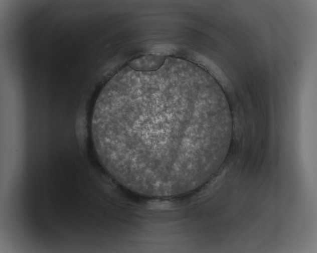 X0000100370354200806271449