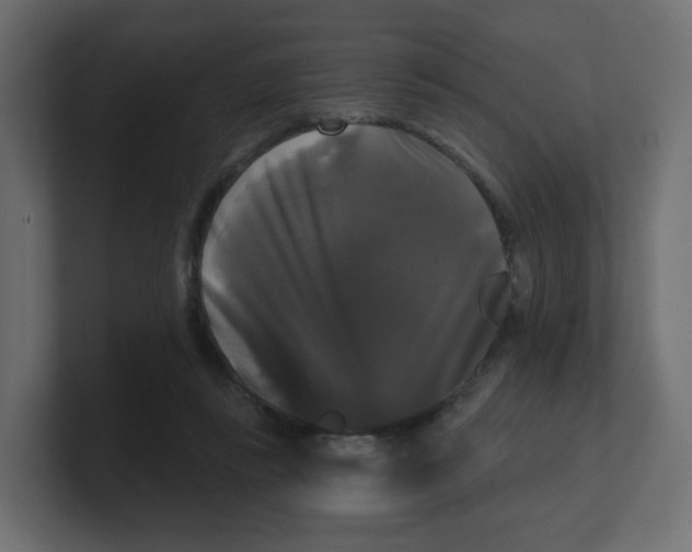 X0000100370355200806271449