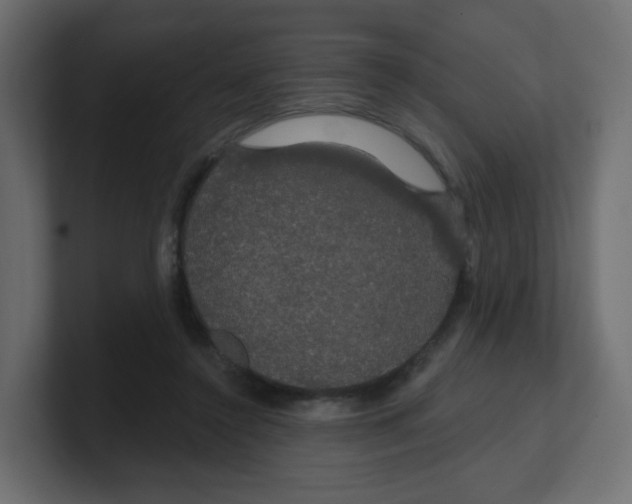 X0000100370356200806271449