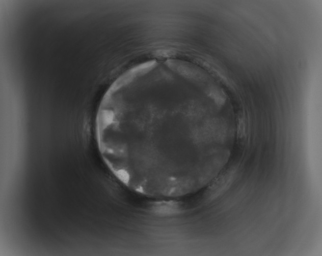 X0000100370363200806271449