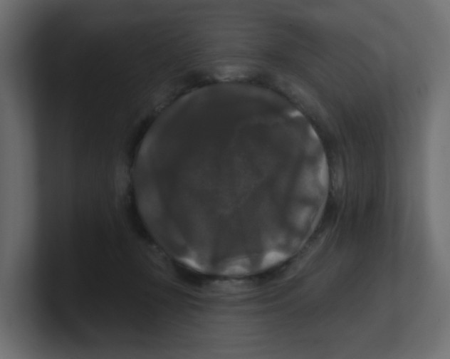 X0000100370367200806271449