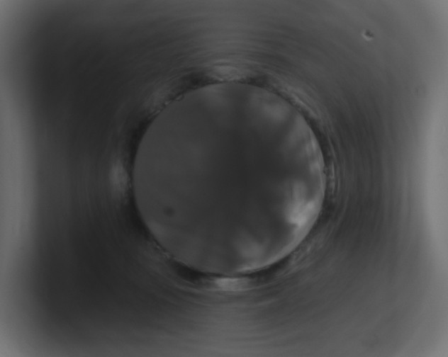 X0000100370371200806271449