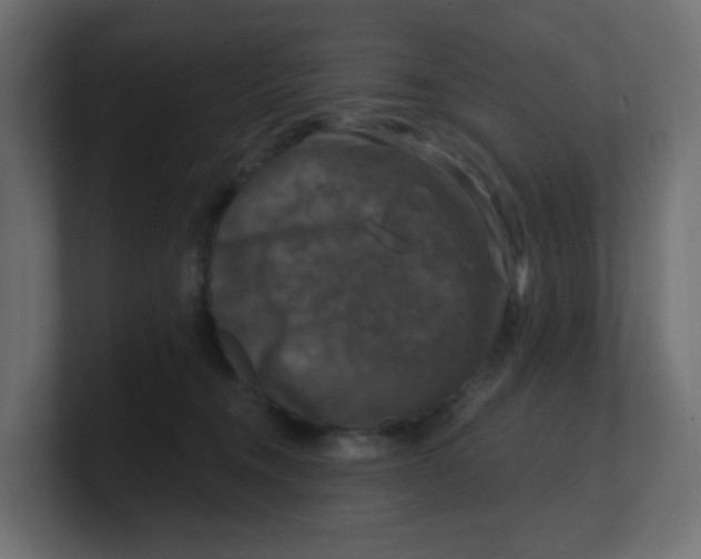 X0000100370372200806271449