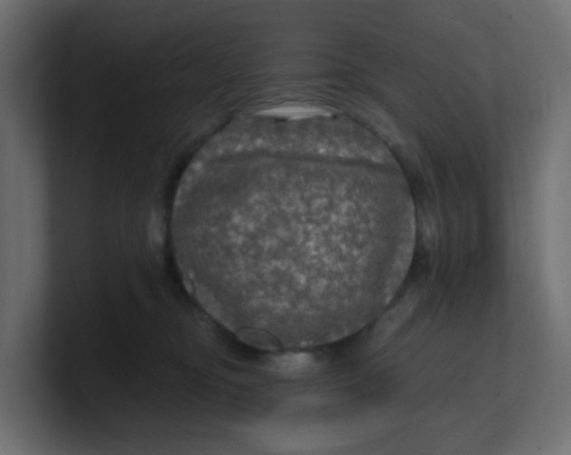 X0000100370374200806271449