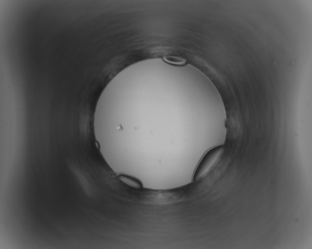 X0000100370379200806271449