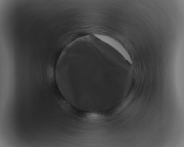 X0000100370380200806271449