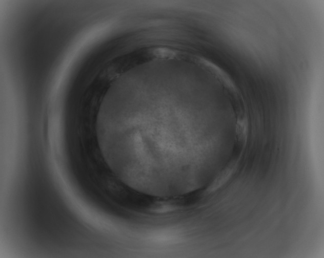 X0000100370381200806271449