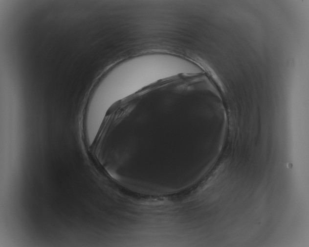 X0000100370386200806271448