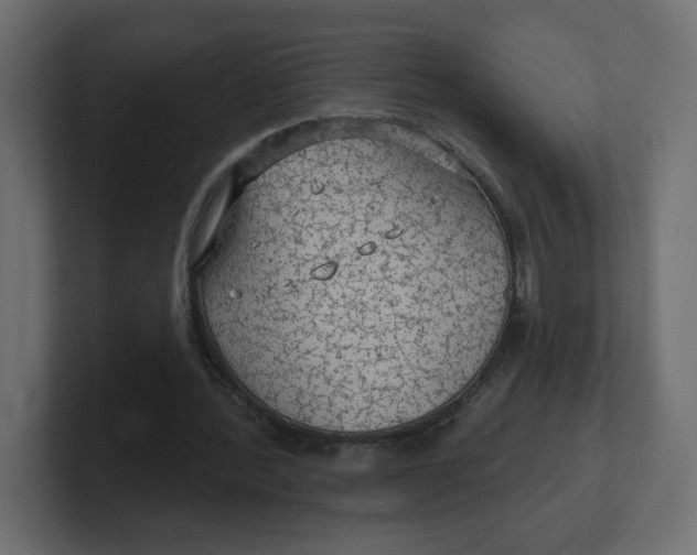 X0000100370388200806271448